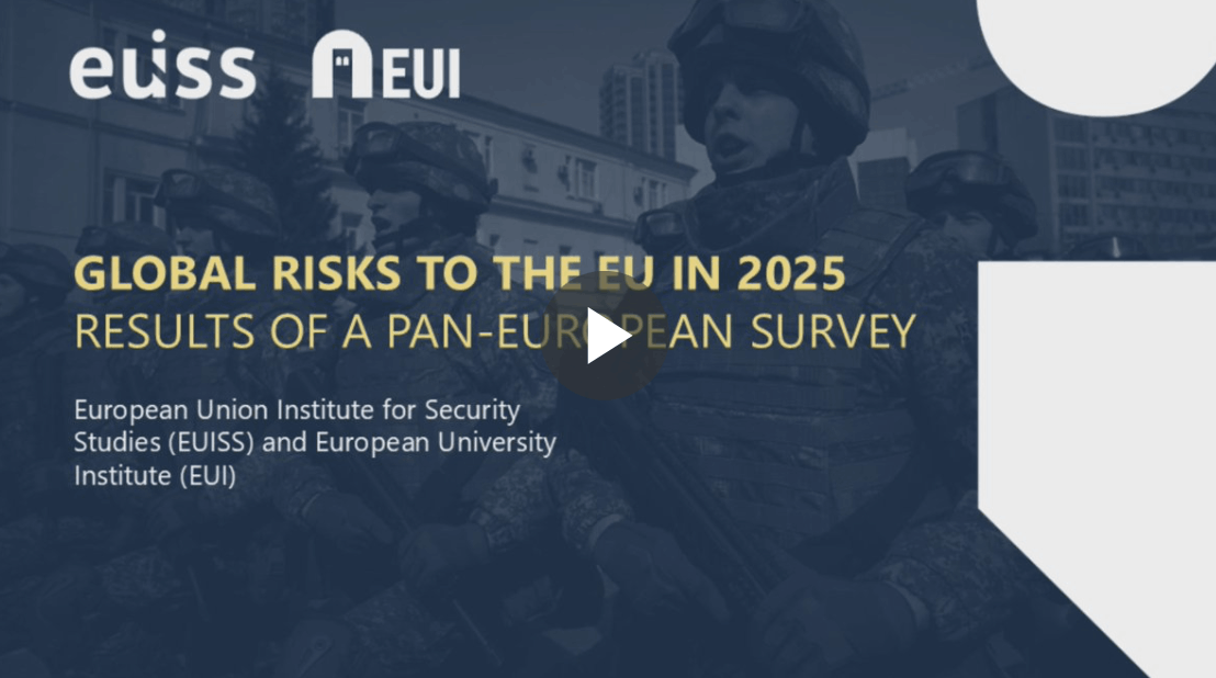 Global Risks to the EU — detailed risk breakdown.